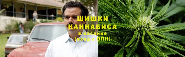 гидра Горнозаводск