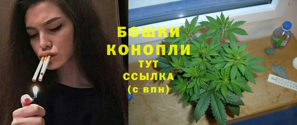 гидра Горнозаводск