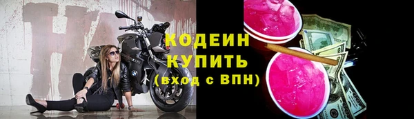 гидра Горнозаводск