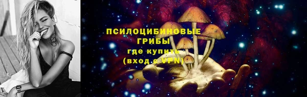 гидра Горнозаводск