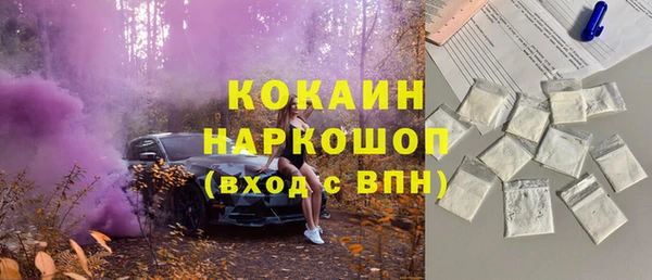 гидра Горнозаводск