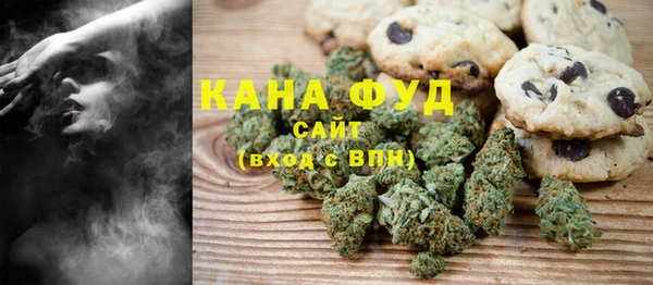 гидра Горнозаводск