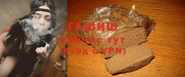 гидра Горнозаводск