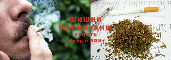 прущая мука Вяземский