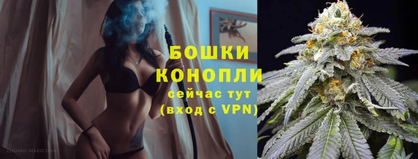 дмт Горно-Алтайск